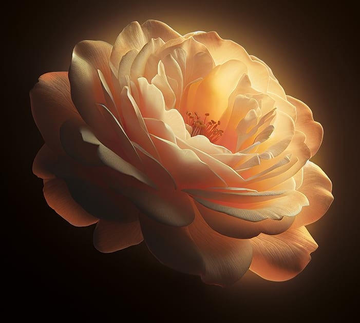 Crème Mains Nourrissante 'Roses' Your Day